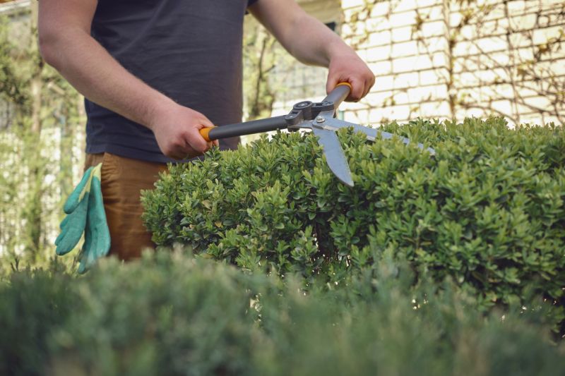 Shrub Trimming in Spring