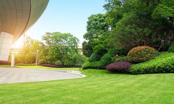 Commercial Shrub Trimming in Athens