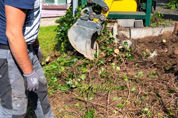 Hedge Removal Service in Athens