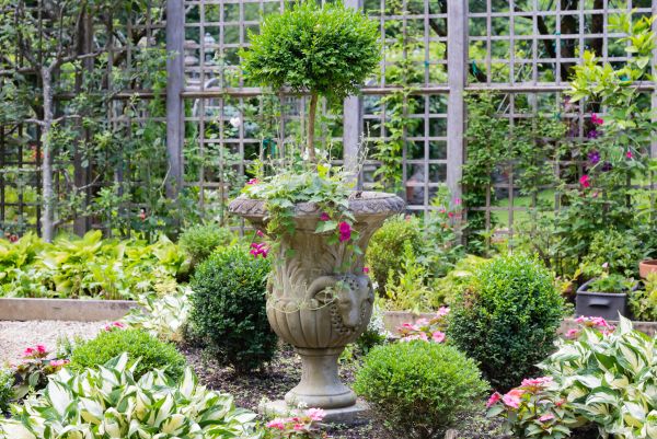 Cost of Topiary Pruning in Athens