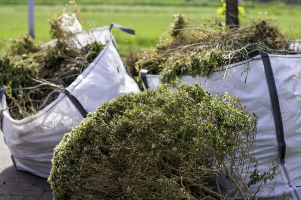Shrubs Removal in Athens