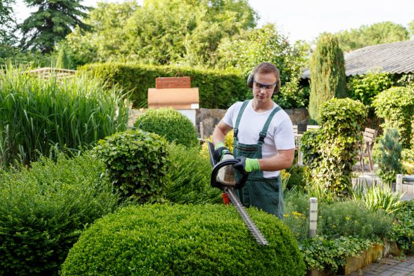 Shrubs Trimming in Athens