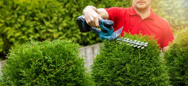 Cost of Hedge Shaping Service in Athens