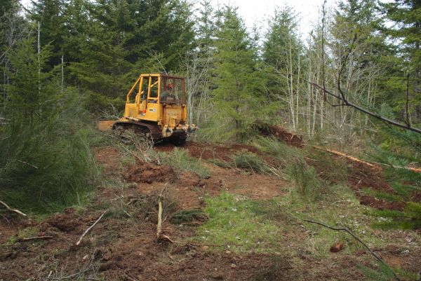 Cost of Shrubbery Clearing in Athens